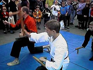 tonfa_kata.jpg (39191 bytes)